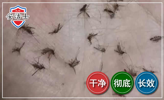 云和蚊子防治-灭蚊