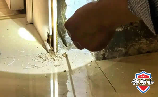 云和房屋建筑防治白蚁