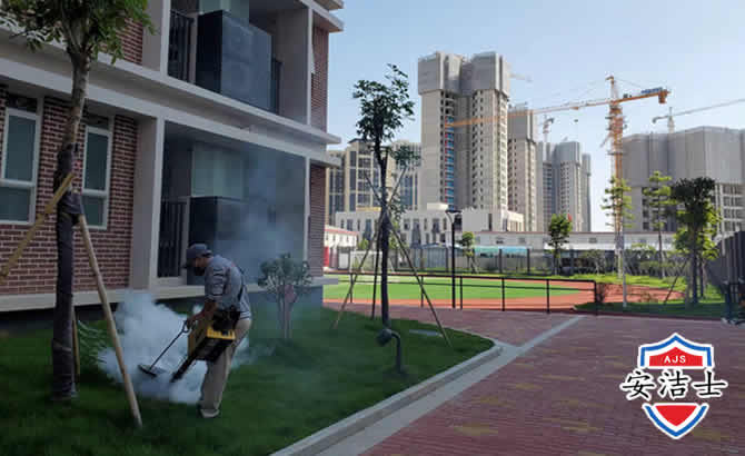 云和工厂工地除白蚁