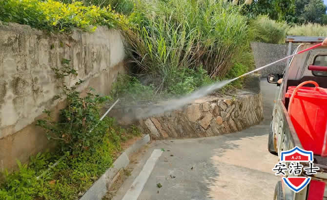 云和道路堤坝白蚁防治