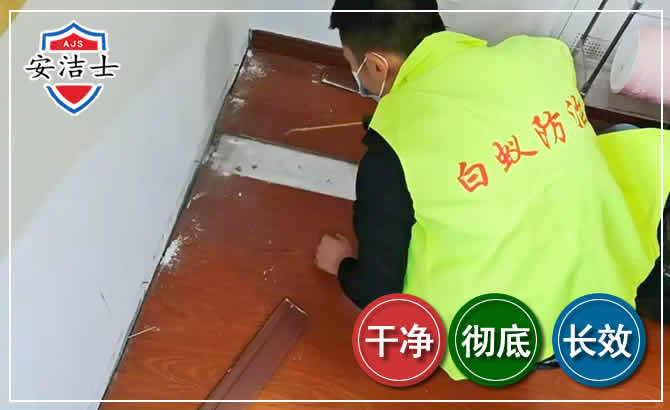 云和除四害现场