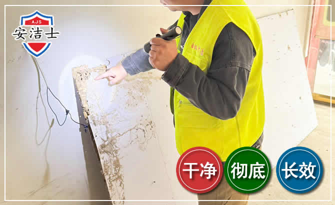 云和除白蚁现场